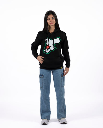 Jordans Falcon | Unisex Adult Hoodie - Graphic Hoodie - Unisex - Jobedu Jordan